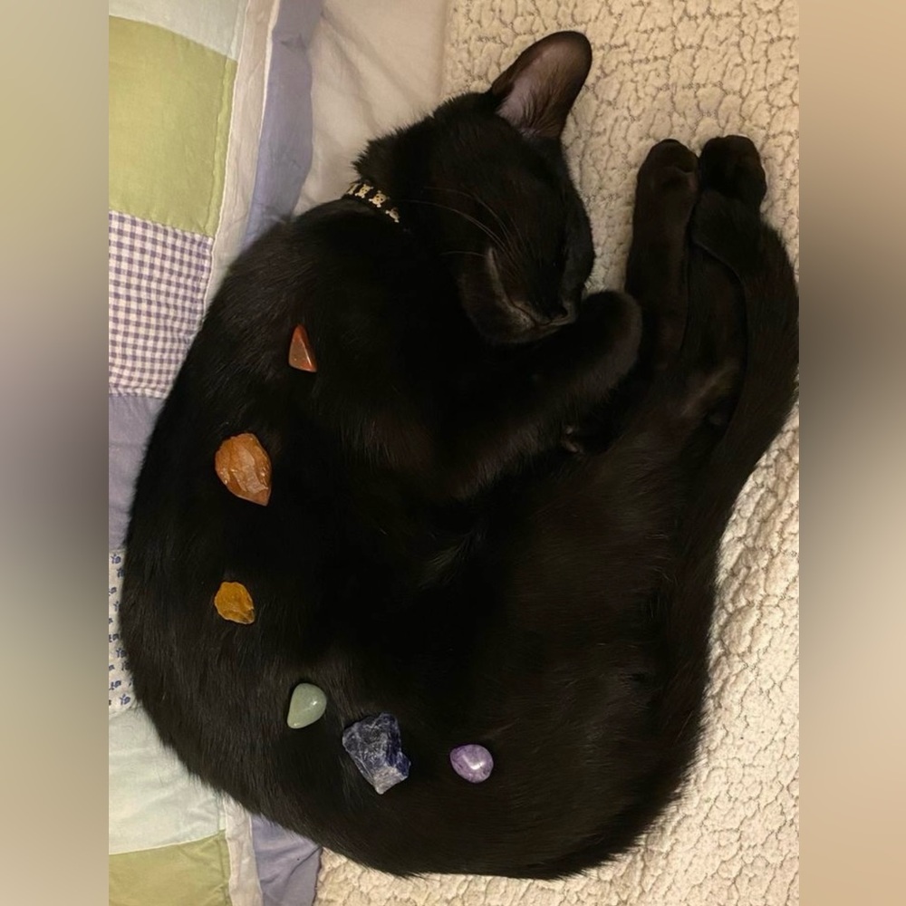 💖SHOW NOTIFICATIONS 💖 JEWELRY LIVES ✨ - Picture 3 of 14